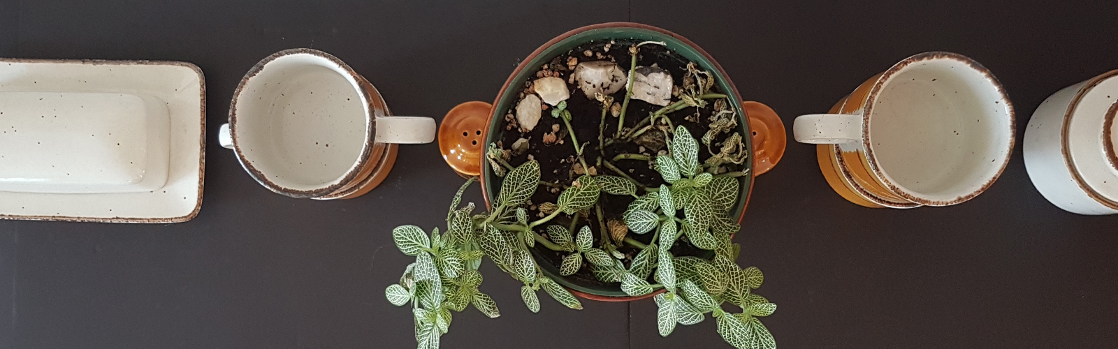 tasses, pot à fleur, services vintage